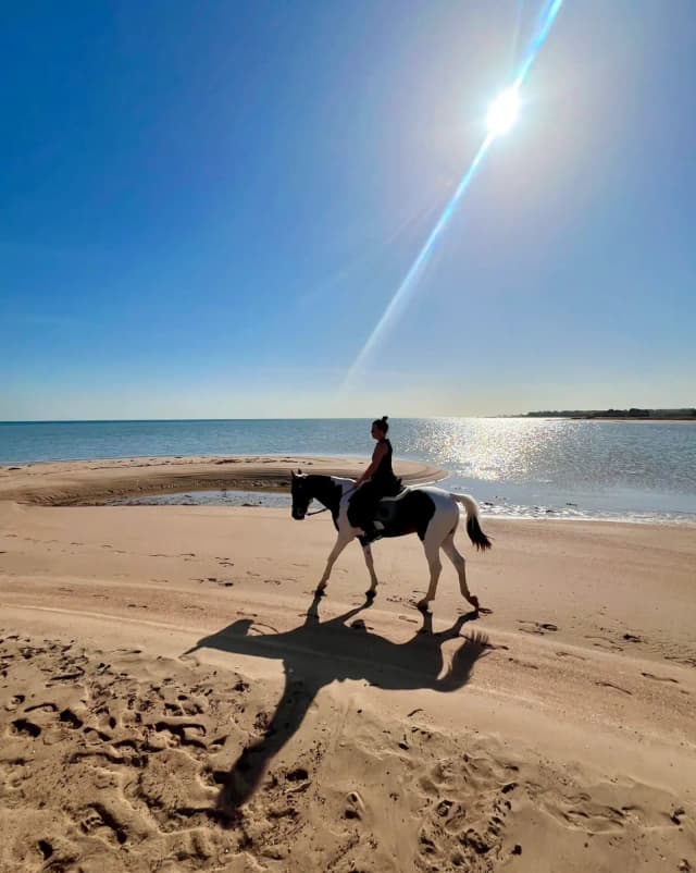 HorseBack Riding