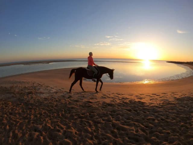 HorseBack Riding
