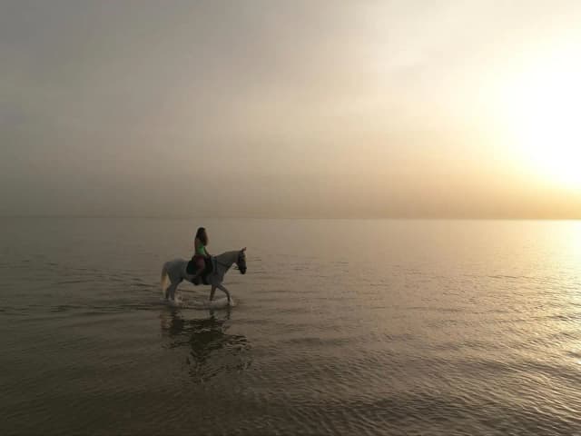 HorseBack Riding