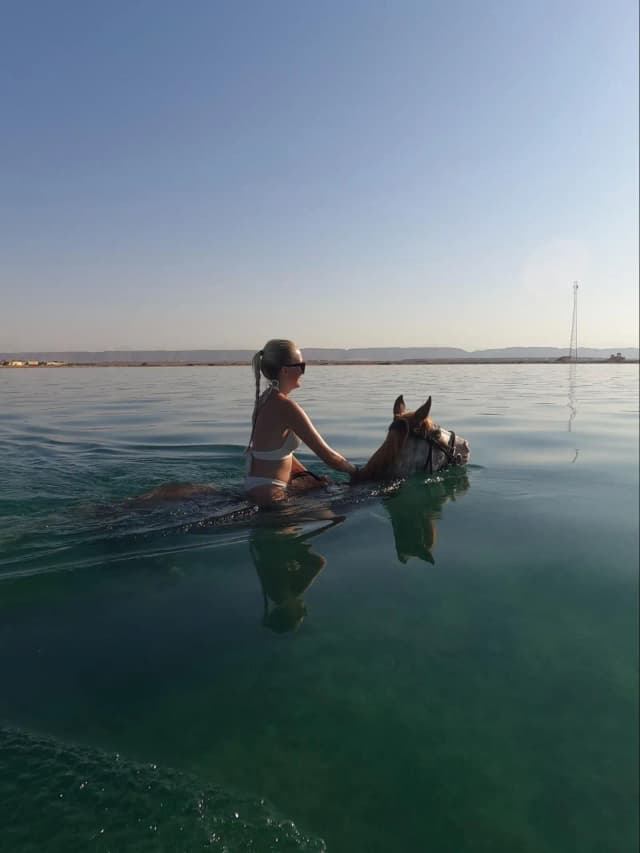 HorseBack Riding