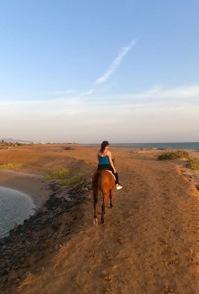HorseBack Riding