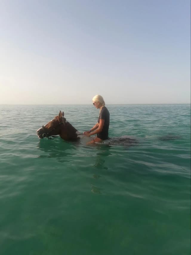 HorseBack Riding
