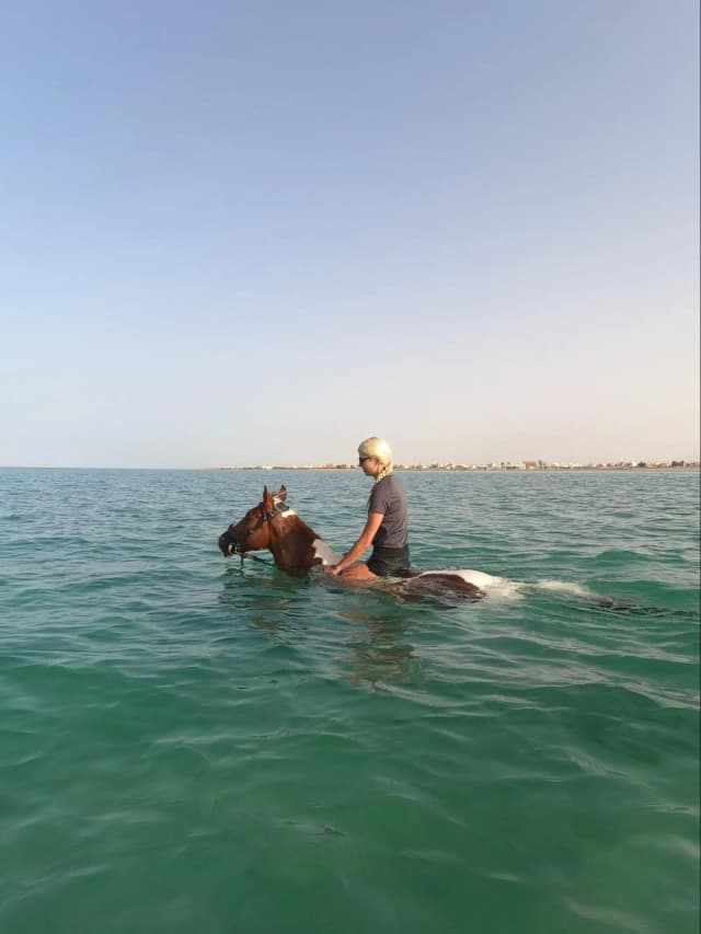 HorseBack Riding