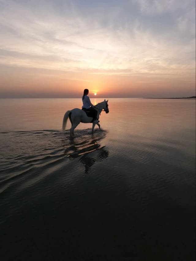 HorseBack Riding
