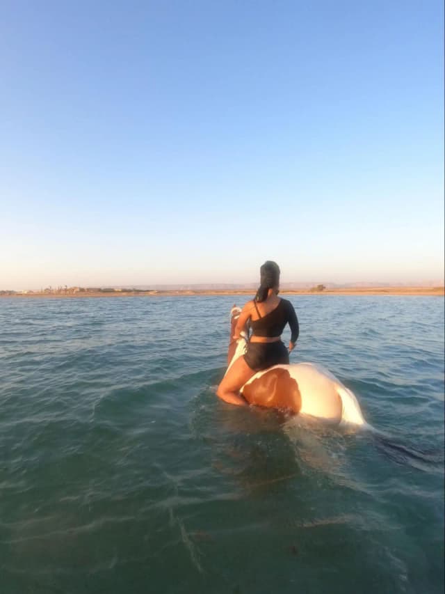 HorseBack Riding
