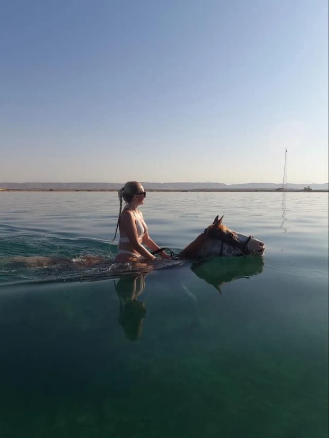 HorseBack Riding