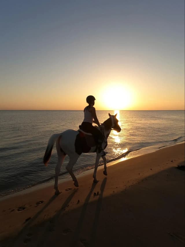 HorseBack Riding