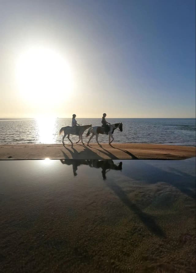 HorseBack Riding