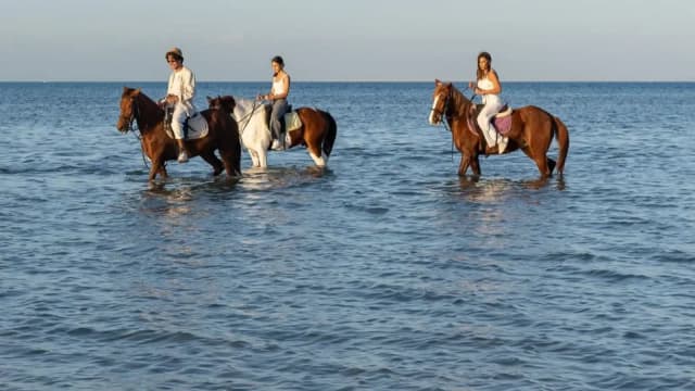 HorseBack Riding