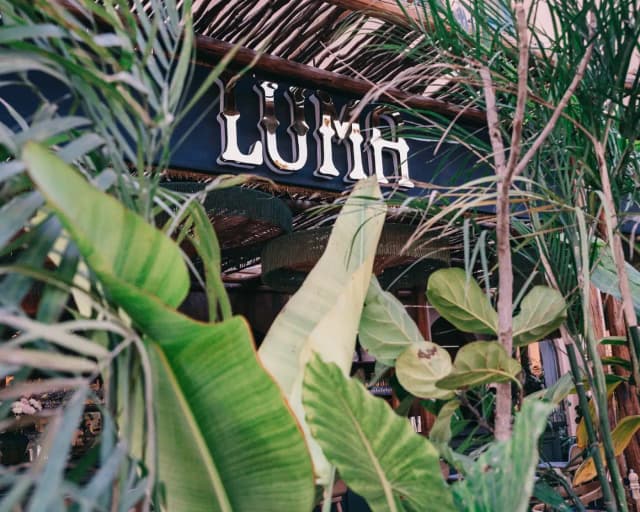 Luma